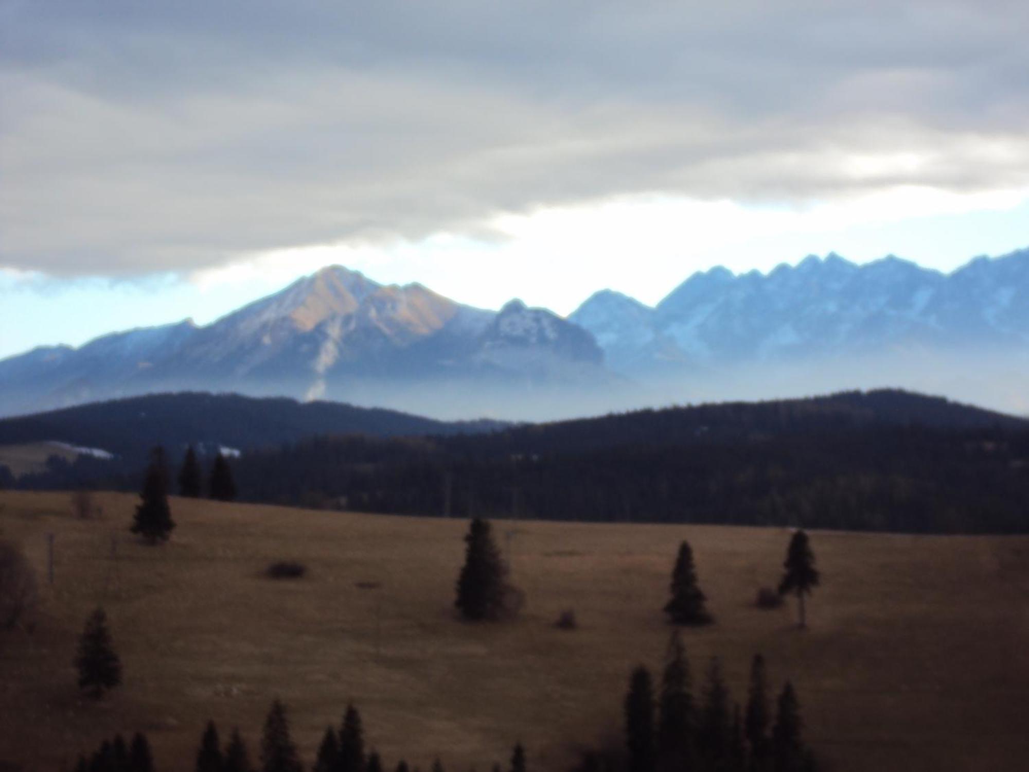 Pokoje Goscinne Kaminscy Gliczarów エクステリア 写真